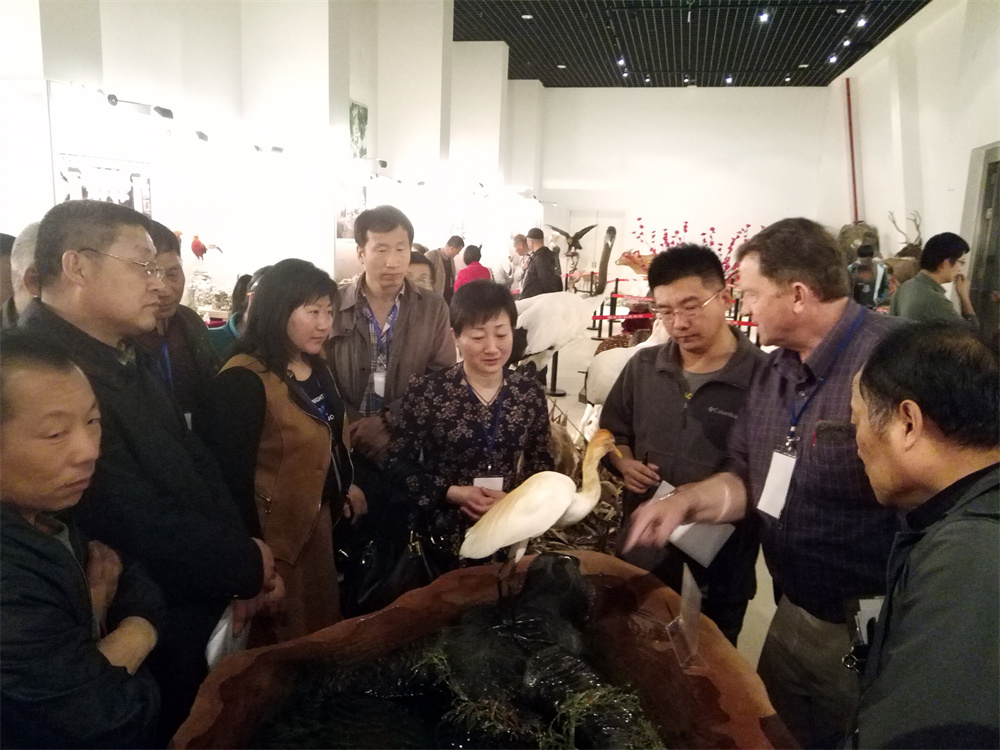 世界动物标本大赛评委会主任、美国Brigham Young大学的动物标本专家Wesley“Skip”Skidmore先生对我公司标本大赛参赛作品进行点评并与技术人员交流.jpg