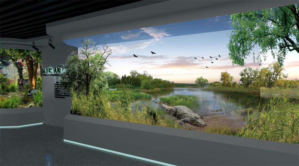 05扬子鳄大鲵 拷贝.jpg