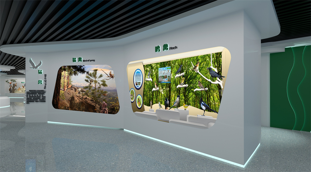 11鸣禽 猛禽 拷贝.jpg