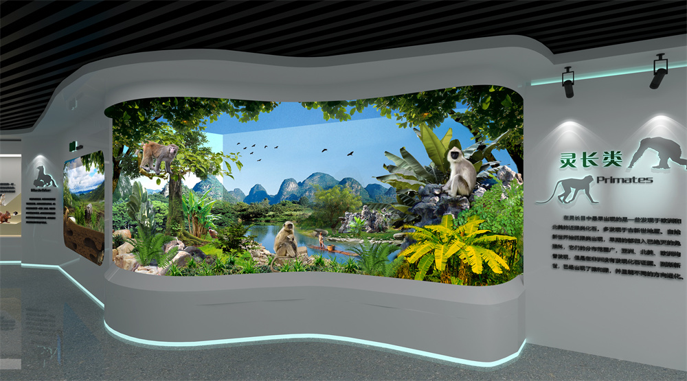 16灵长类 拷贝.jpg