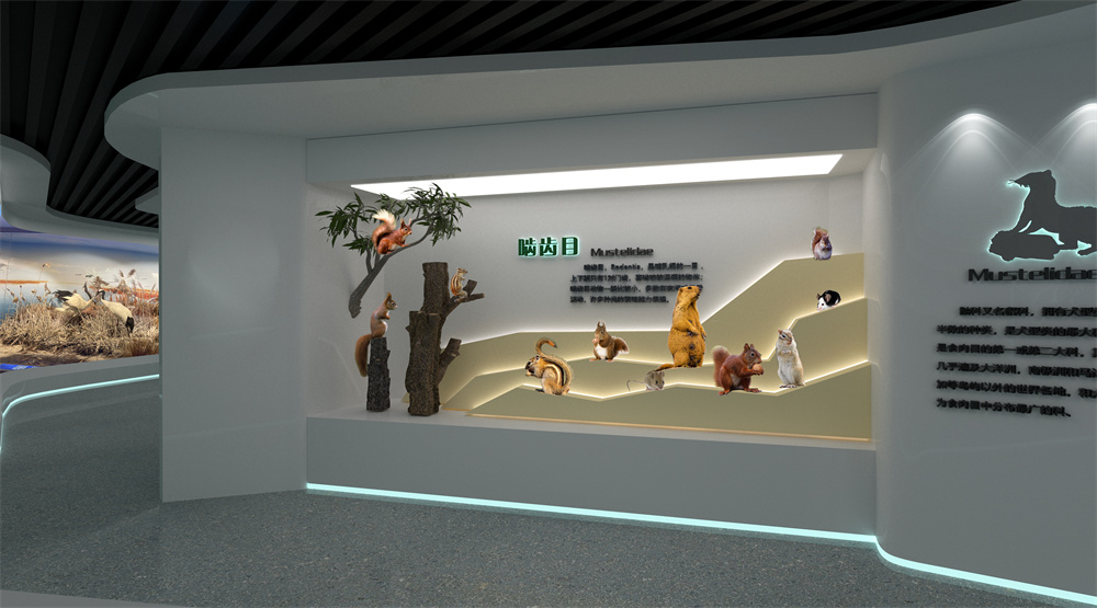 19啮齿目 拷贝.jpg