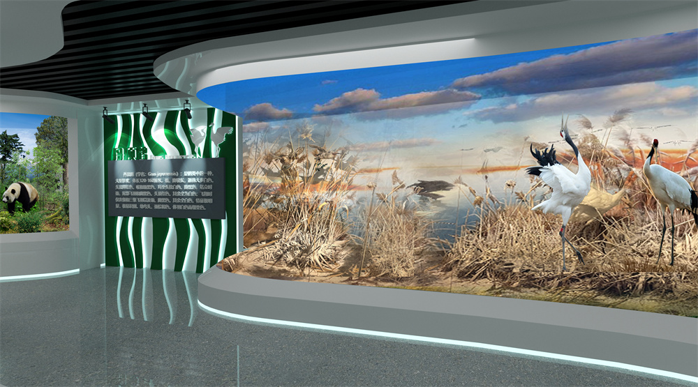 20丹顶鹤 拷贝.jpg