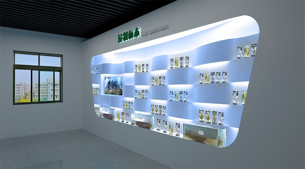 22浸㓡标本 拷贝.jpg