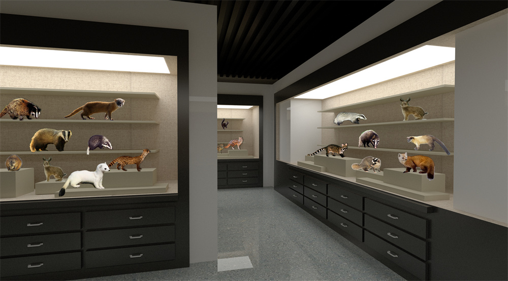 24科研标本收藏区 拷贝.jpg