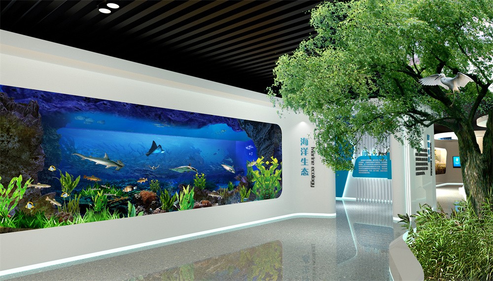 02海洋生态 拷贝.jpg