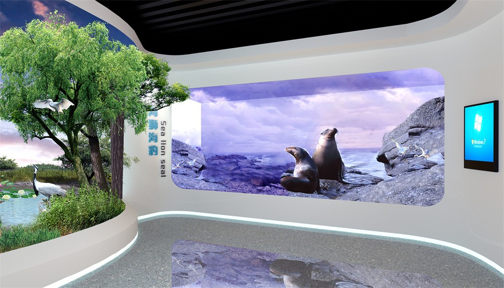 03海狮 海豹 拷贝.jpg