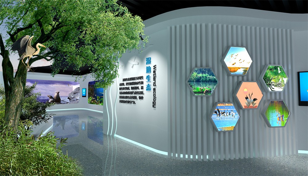 05湿地科普造型墙 拷贝.jpg