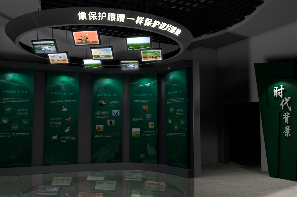 保护湿地 拷贝.jpg