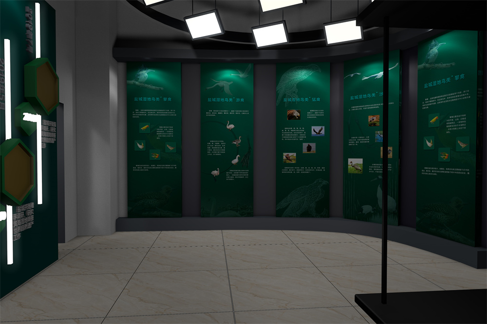 保护湿地02 拷贝.jpg