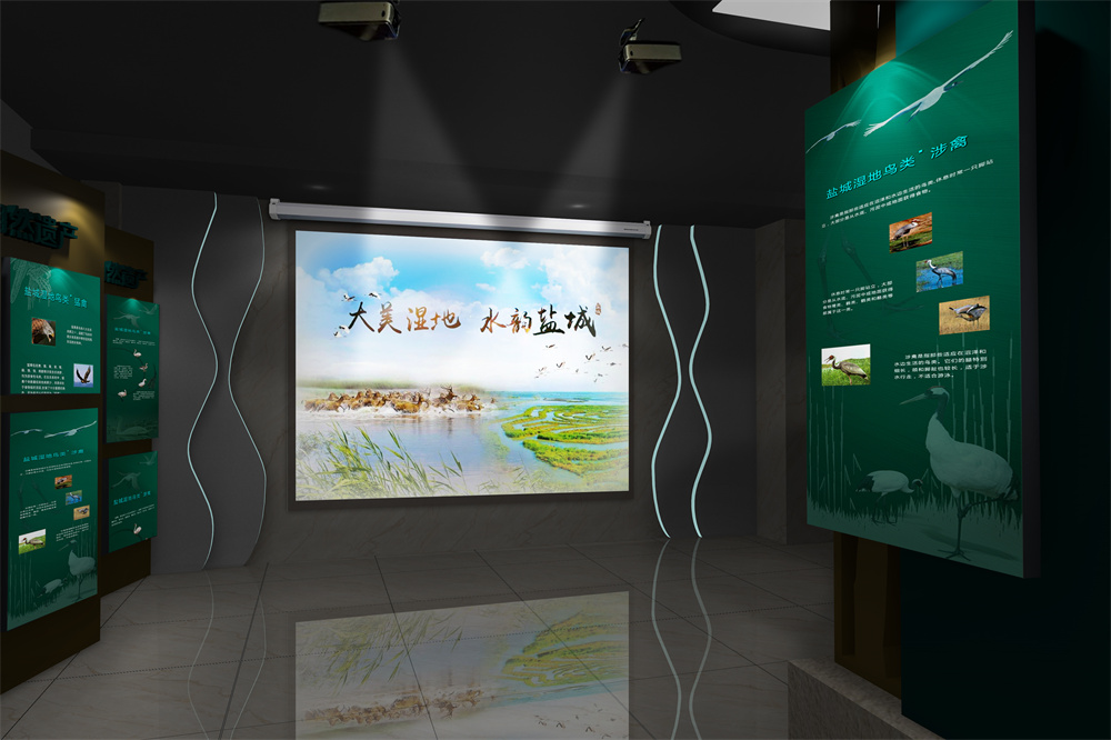投影墙 拷贝.jpg