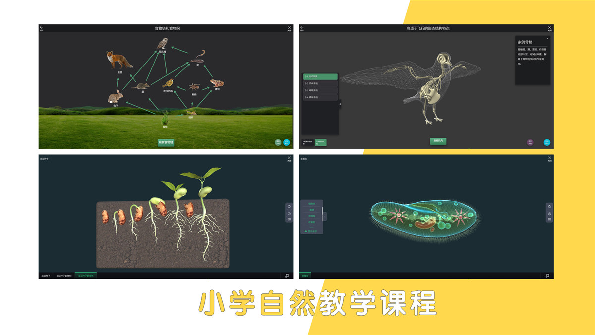 小学自然教学课程