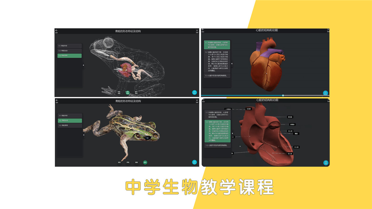 中学生物教学课程