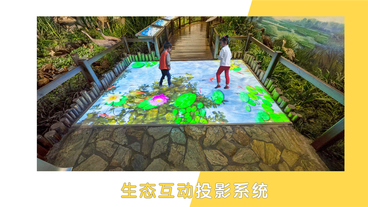 生态投影互动系统