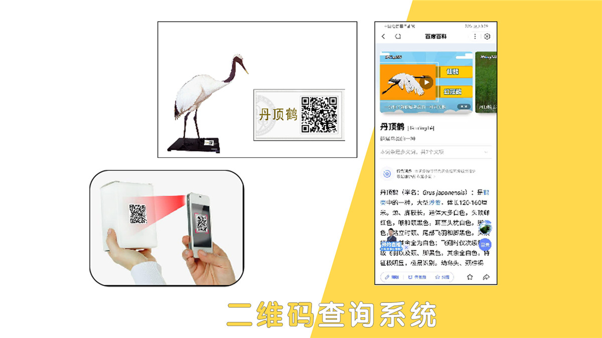 二维码查询系统