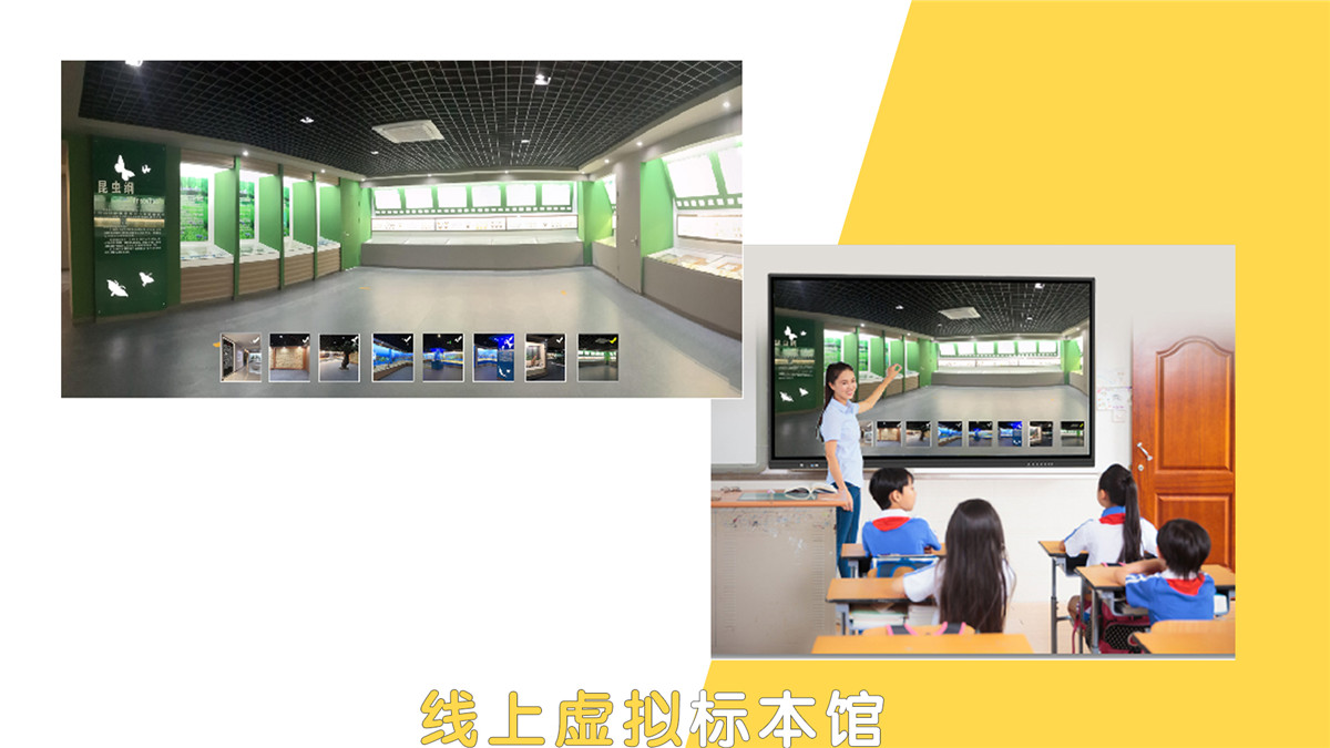 线上虚拟标本馆