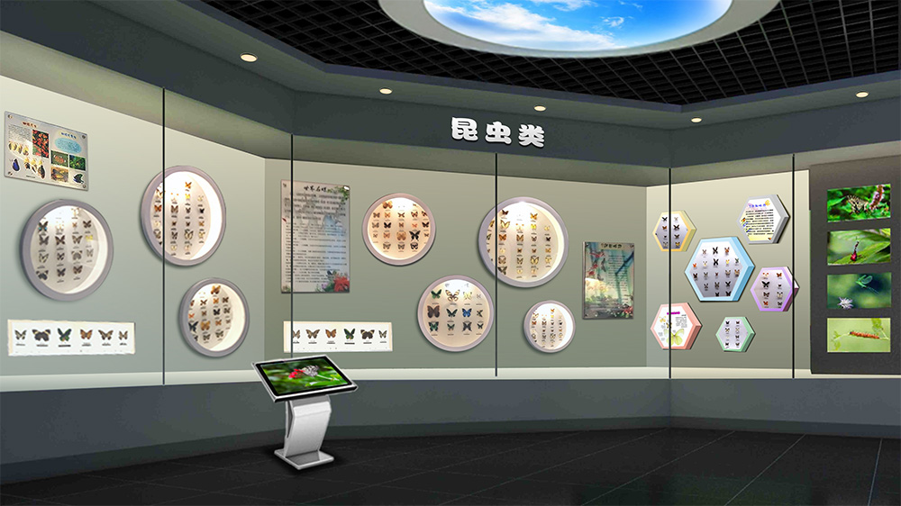 昆虫展橱