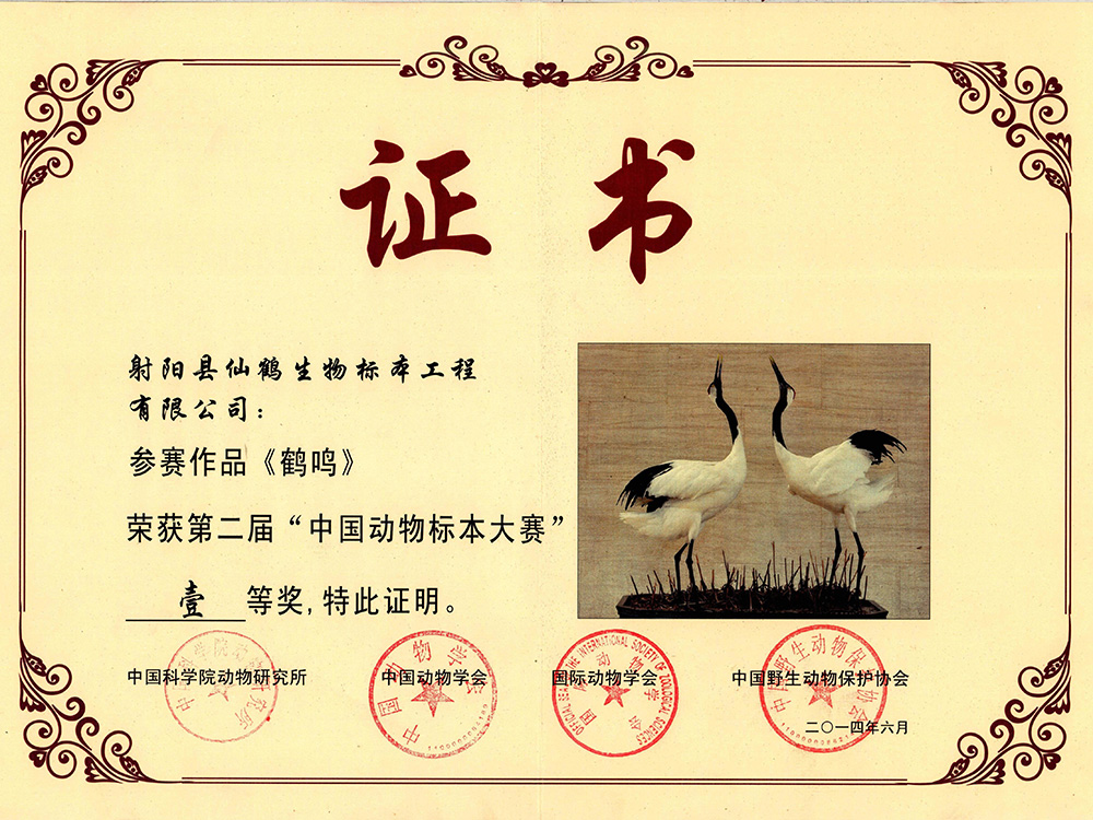 二届-鹤鸣