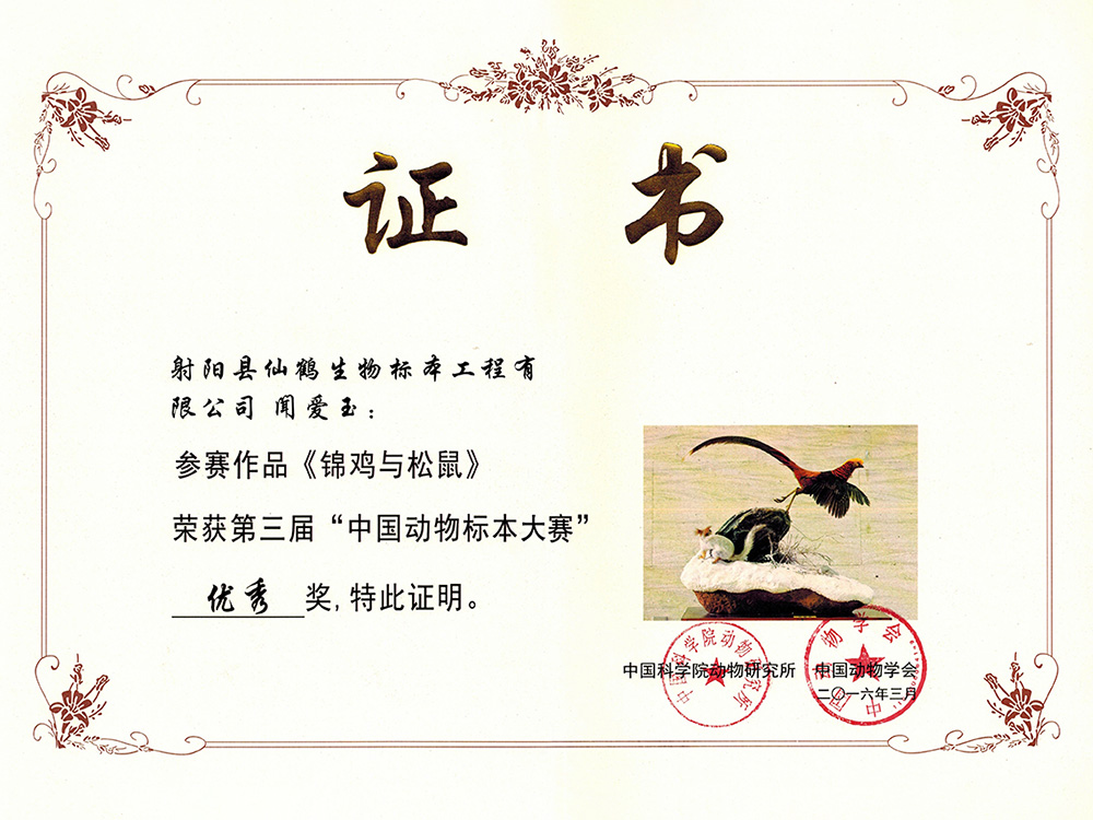 三届-锦鸡与松鼠闻爱玉