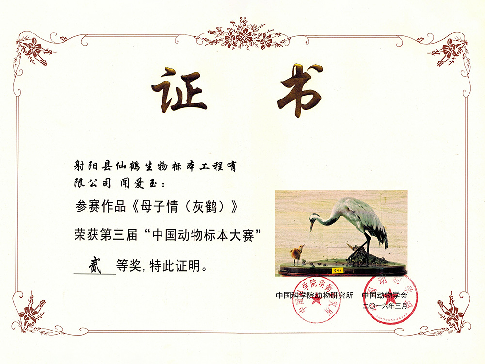 三届-母子情闻爱玉