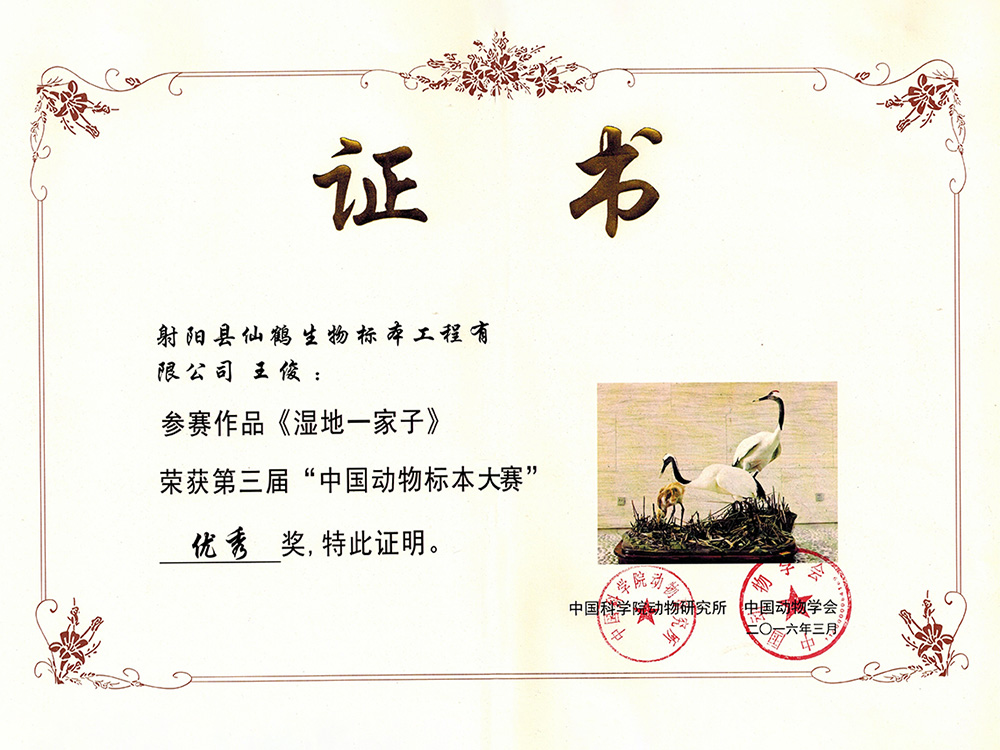 三届-湿地一家王俊