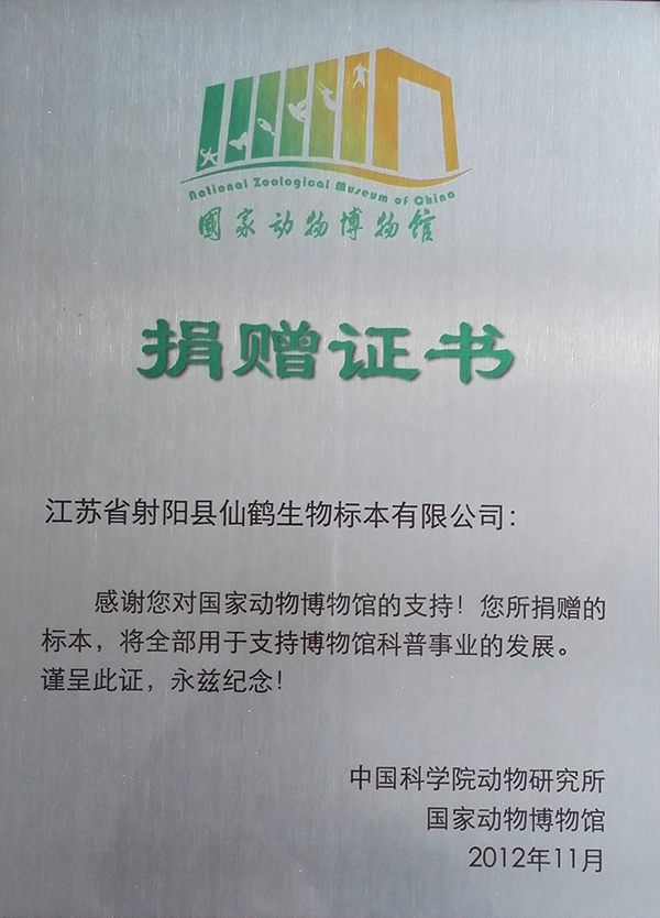 国家博物馆收藏证