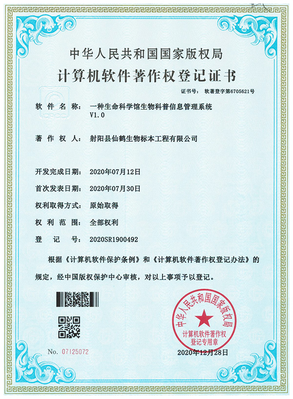 计算机软件著作权登记证书