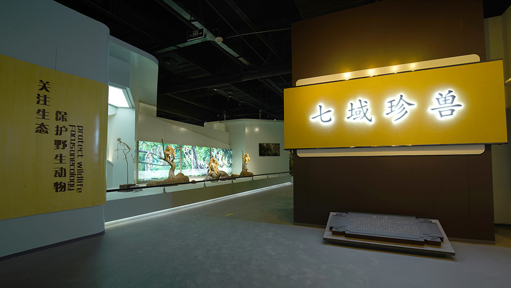 山东傅山地质博物馆（七域珍禽）