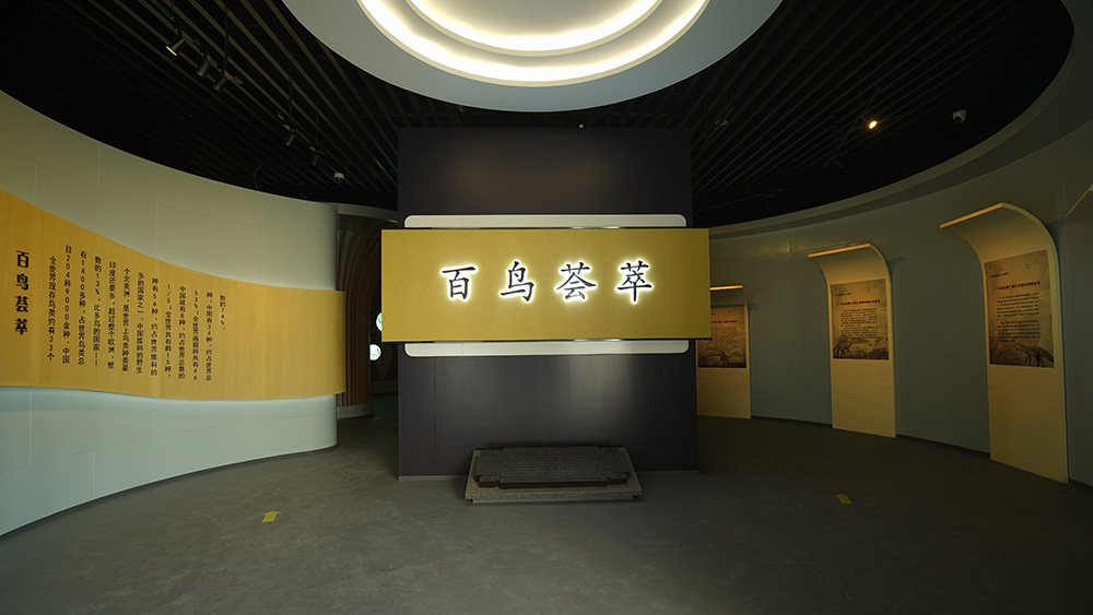 山东傅山地质博物馆（白鸟荟萃）