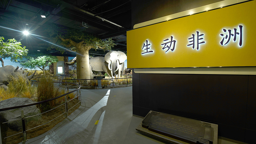 山东傅山地质博物馆（生动非洲）