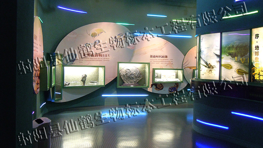 江苏某博物馆标本馆