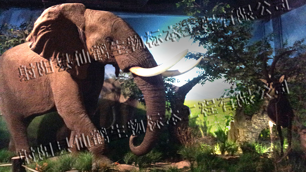 青岛某大学生物多样性博物馆