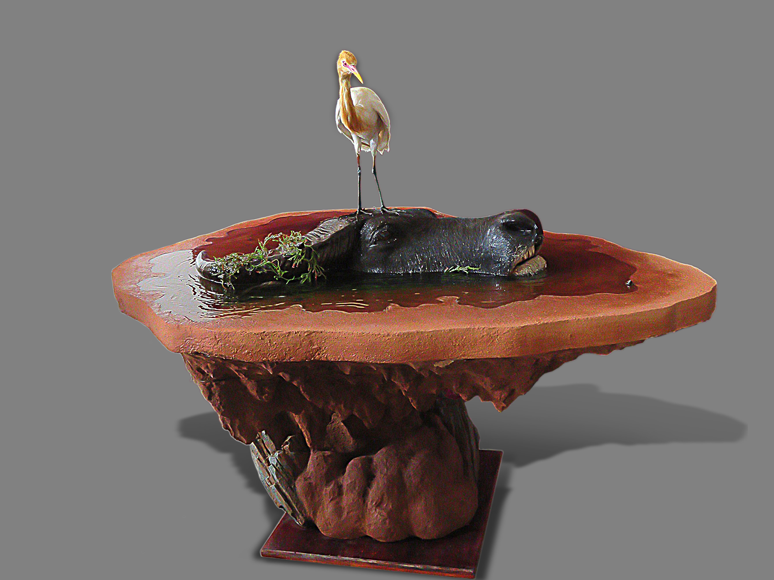 共栖—牛头、牛背鹭