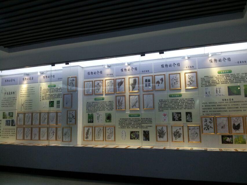 植物展橱