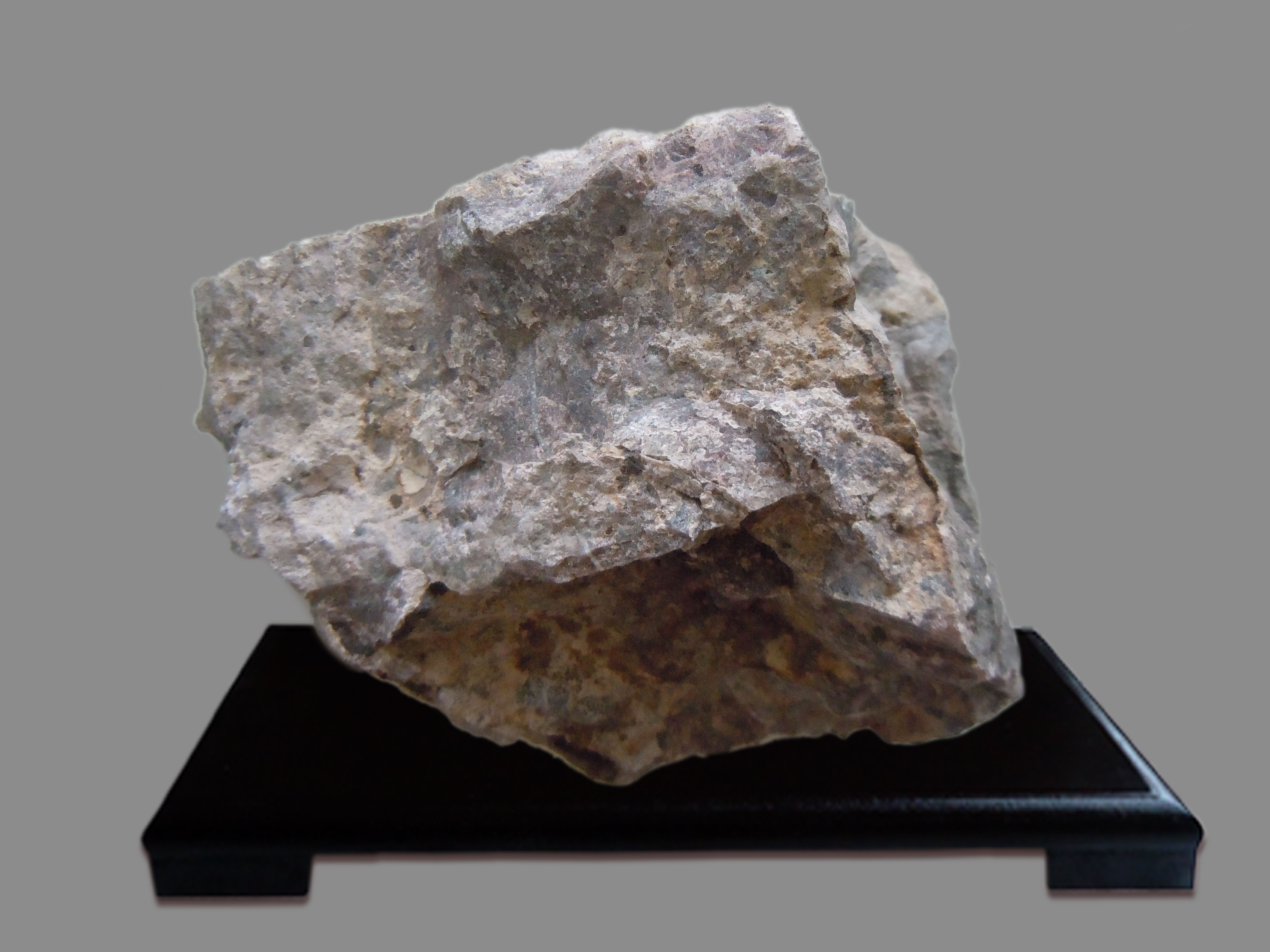 沸石化石泡流纹岩